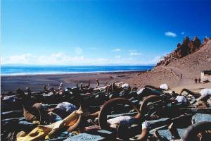 Lake Manasarovar